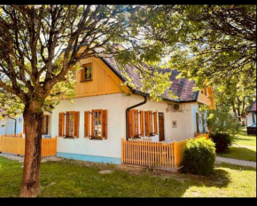Apartma Orhideja